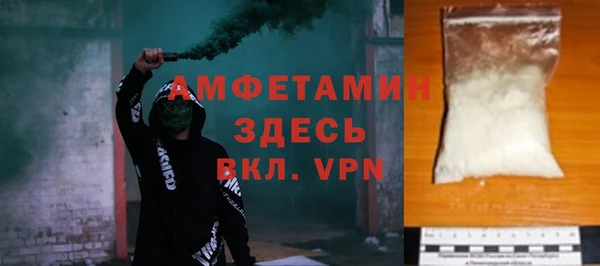 хмурый Магас