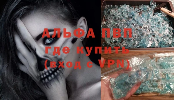 хмурый Магас