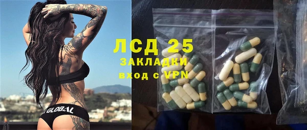 хмурый Магас